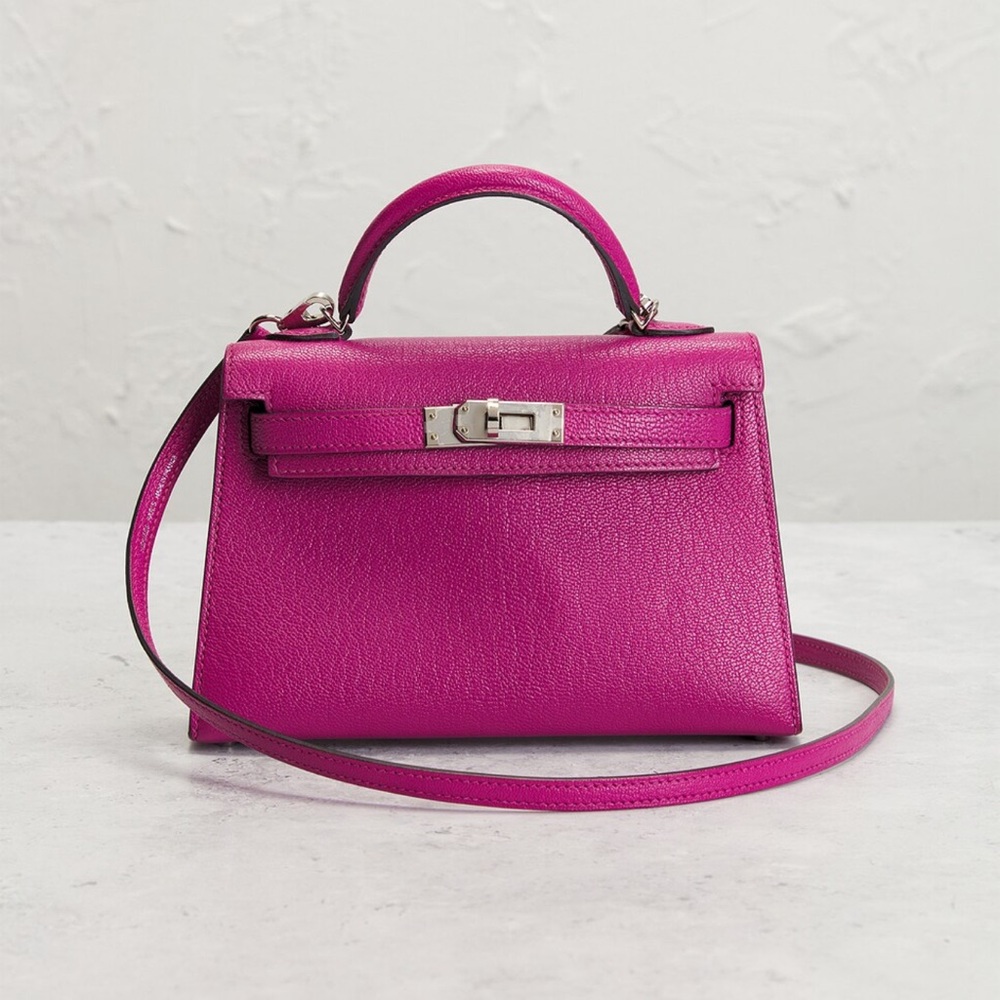 Hermes Chèvre Kelly 20 Handbag - Picture 7 of 11
